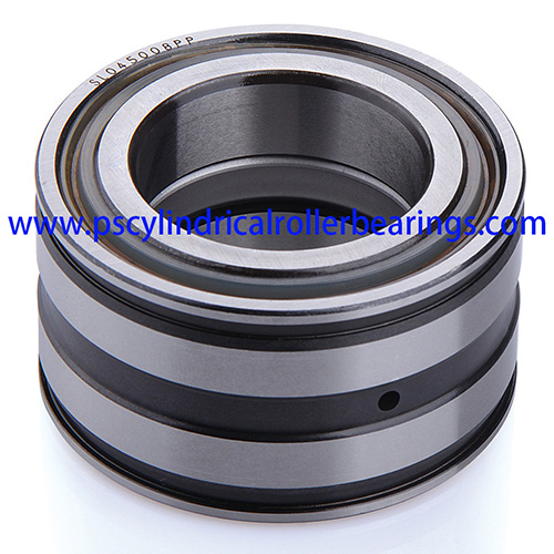 SL045011PP Sealed Cylindrical Roller Bearings