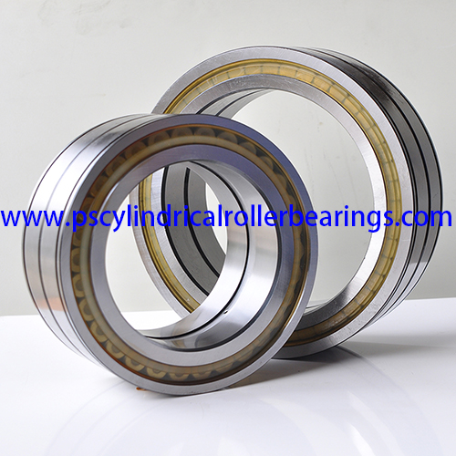 SL04260PP Double Row Cylindrical Roller Bearings