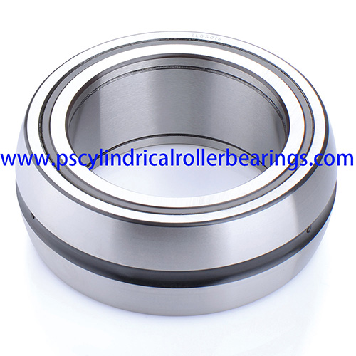 SL06028E Double Row Cylindrical Roller Bearing