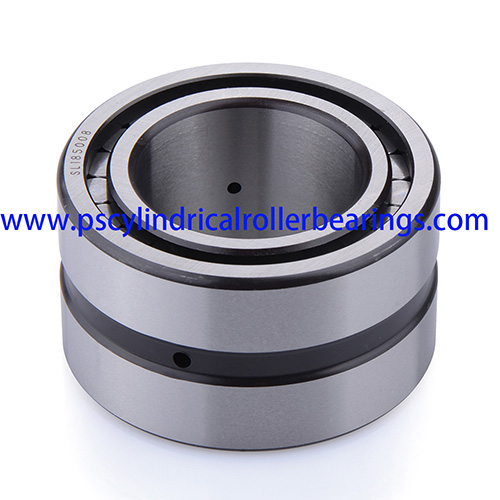 SL185010 Double Row Cylindrical Roller Bearing