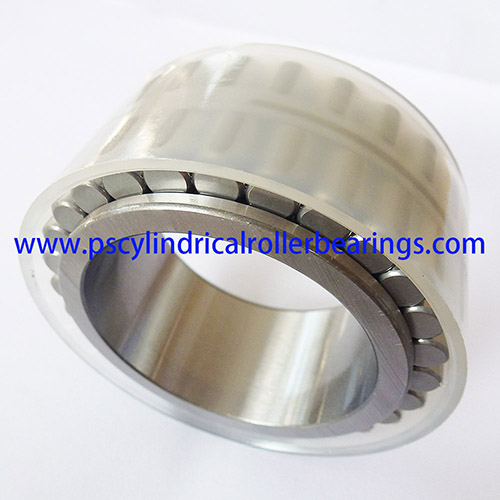 RSL185006  Cylindrical Roller Bearing without Outer Ring