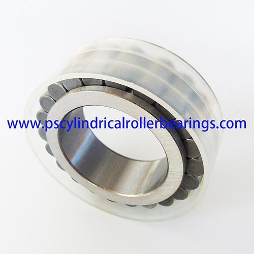 RSL182206 Full Complement Cylindrical Roller Bearing