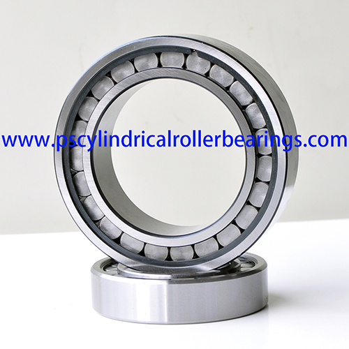 SL182207 Full Complement Cylindrical Roller Bearings